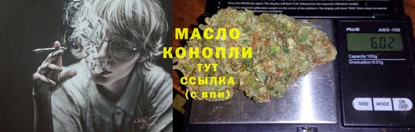 хмурый Арсеньев