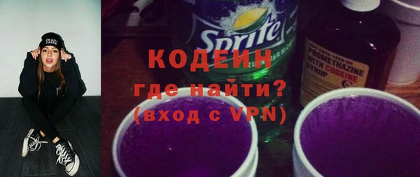хмурый Арсеньев