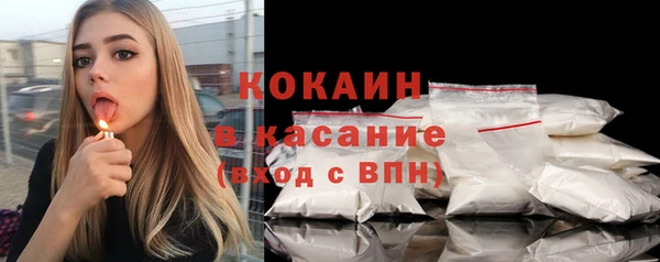 хмурый Арсеньев