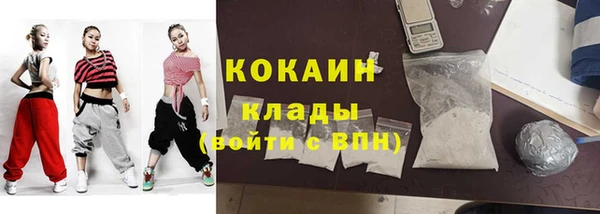 хмурый Арсеньев