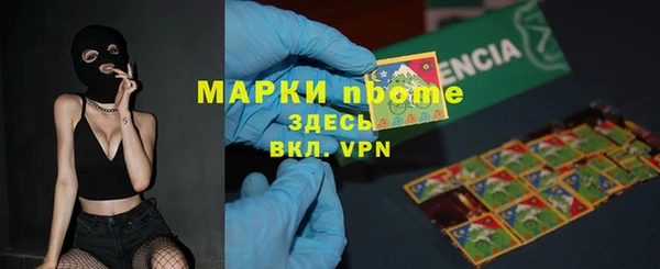 хмурый Арсеньев