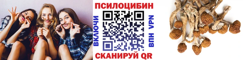 купить наркоту  Очёр  Псилоцибиновые грибы мухоморы 
